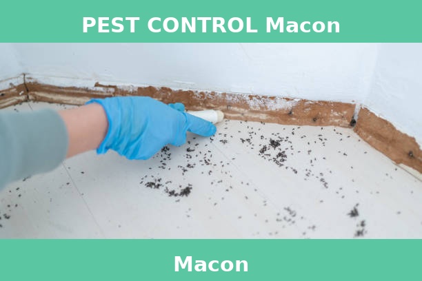 PEST CONTROL Macon